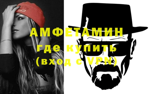 стафф Алзамай