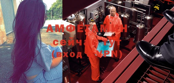 стафф Алзамай