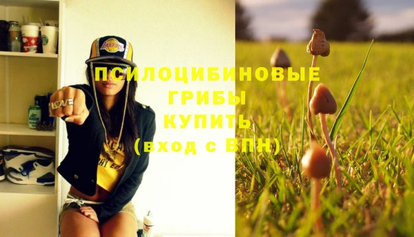 стафф Алексеевка