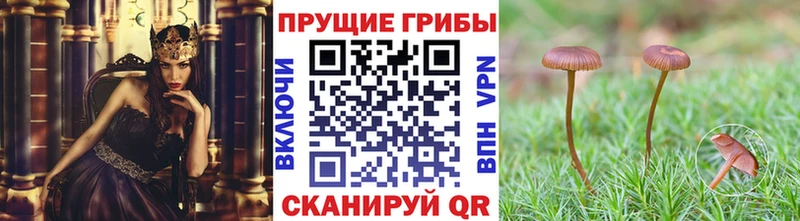 Псилоцибиновые грибы GOLDEN TEACHER  Джанкой 